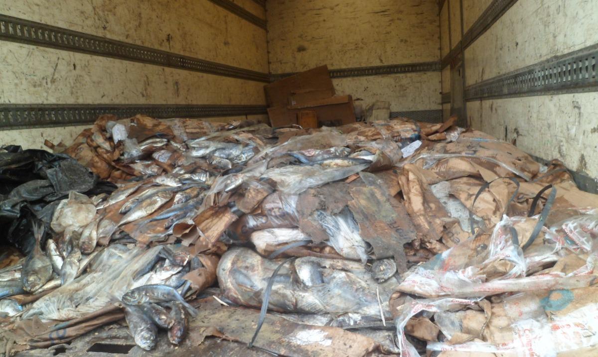 Actualité - 𝐏𝐨𝐢𝐬𝐬𝐨𝐧 𝐚𝐯𝐚𝐫𝐢𝐞́ 𝐚𝐮 𝐂𝐚𝐦𝐞𝐫𝐨𝐮𝐧 : 𝐋𝐞 𝐒𝐜𝐚𝐧𝐝𝐚𝐥𝐞 𝐝’𝐮𝐧 𝐬𝐲𝐬𝐭𝐞̀𝐦𝐞 𝐛𝐢𝐞𝐧 𝐢𝐧𝐬𝐭𝐚𝐥𝐥𝐞́