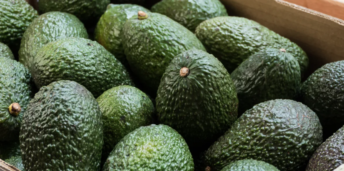 Actualité - Alerte Sanitaire : Des avocats vendus chez Lidl rappelés pour une contamination aux métaux lourds