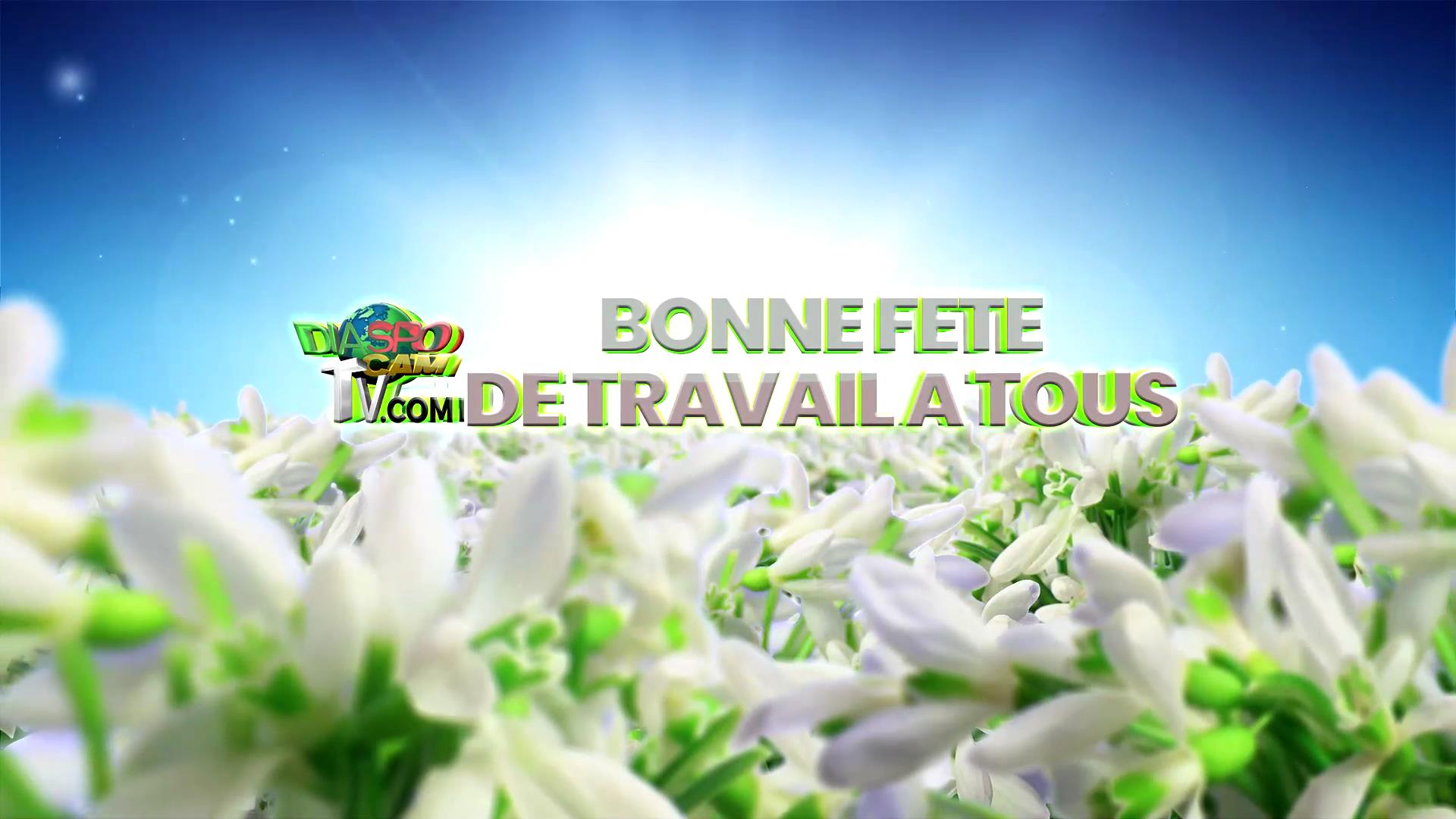 video - LA FETE DE TRAVAIL