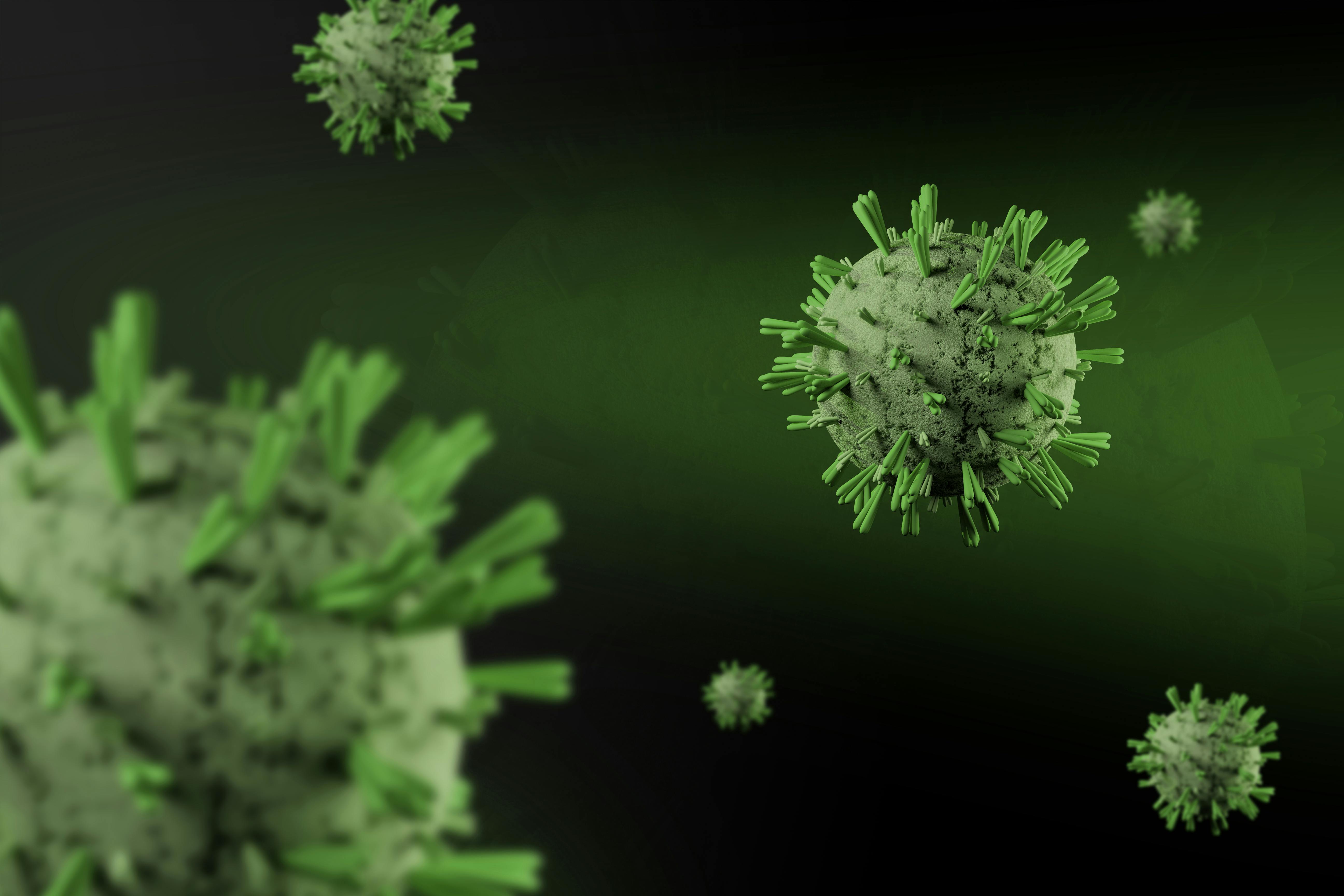 Actualité -  Pays-Bas : 12 soignants placés en quarantaine après une faille de protocole face au hantavirus