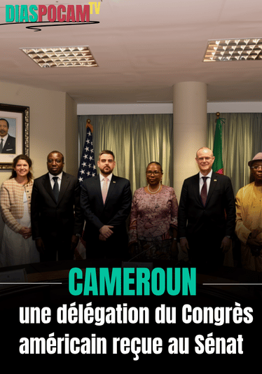 Actualité - Cameroun : une délégation du Congrès américain reçue au Sénat